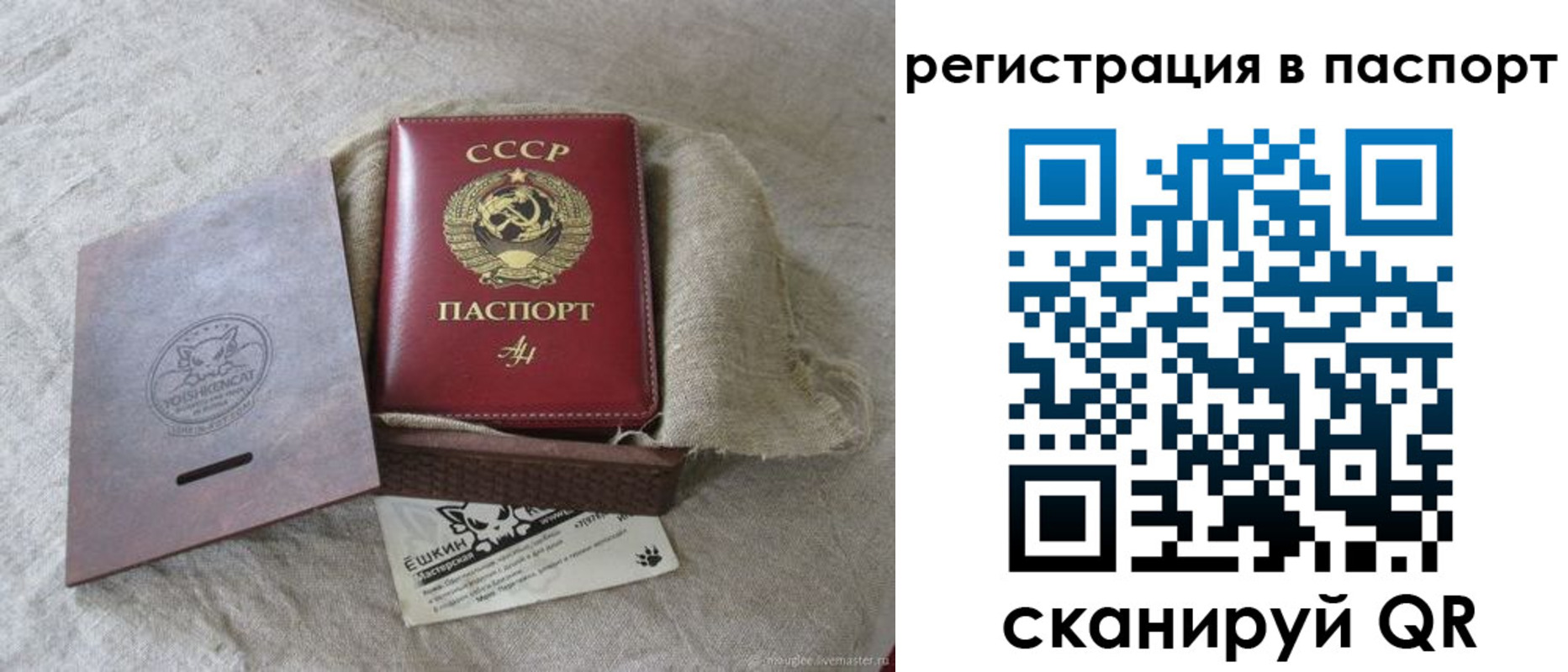 где прописаться в Волгоградской области